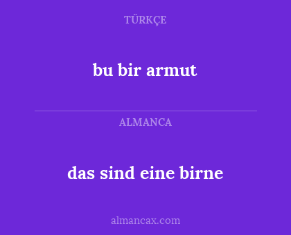 bu bir armut - das sind eine birne