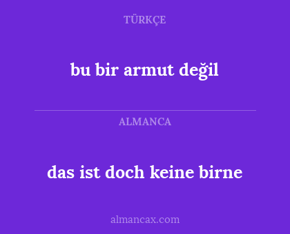 bu bir armut değil - das ist doch keine birne