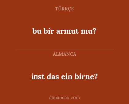 i̇st das ein birne? - bu bir armut mu?