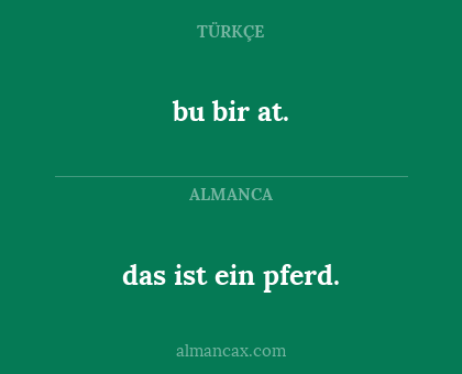 bu bir at. - das ist ein pferd.