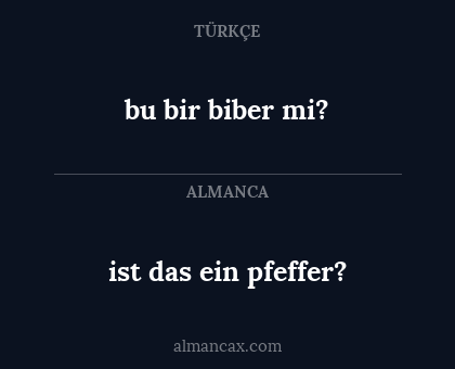 ist das ein pfeffer? - bu bir biber mi?