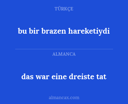 das war eine dreiste tat - bu bir brazen hareketiydi