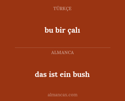 bu bir çalı - das ist ein bush