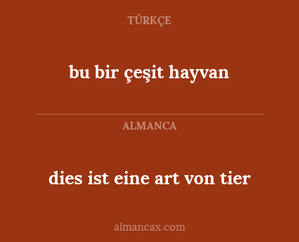 bu bir çeşit hayvan - dies ist eine art von tier
