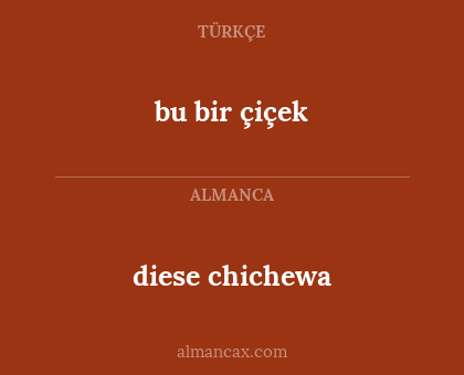 bu bir çiçek - diese chichewa