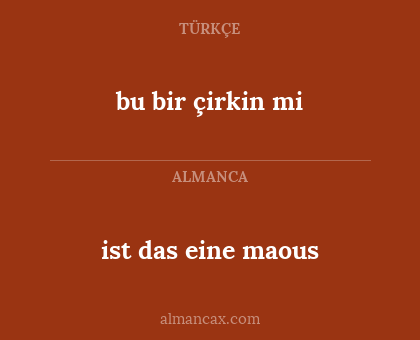 ist das eine maous - bu bir çirkin mi