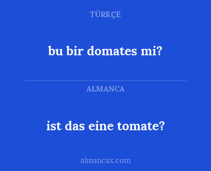 bu bir domates mi? - ist das eine tomate?
