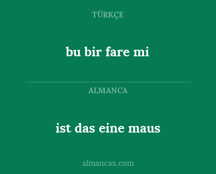 ist das eine maus - bu bir fare mi