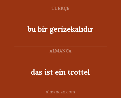 das ist ein trottel - bu bir gerizekalıdır