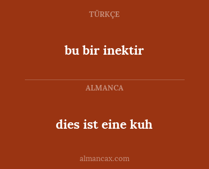 dies ist eine kuh - bu bir inektir