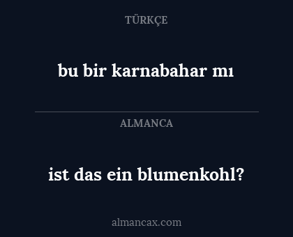 ist das ein blumenkohl? - bu bir karnabahar mı