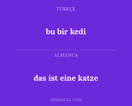 bu bir kedi - das ist eine katze