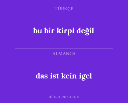 bu bir kirpi değil - das ist kein igel