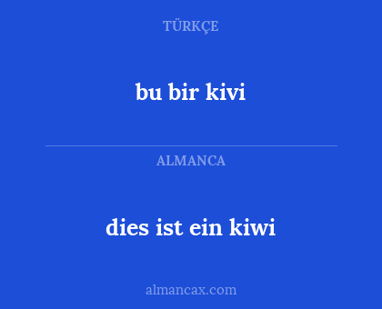 bu bir kivi - dies ist ein kiwi