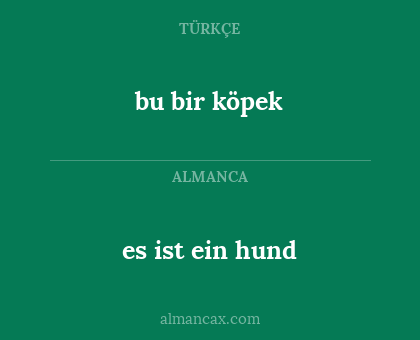 bu bir köpek - es ist ein hund