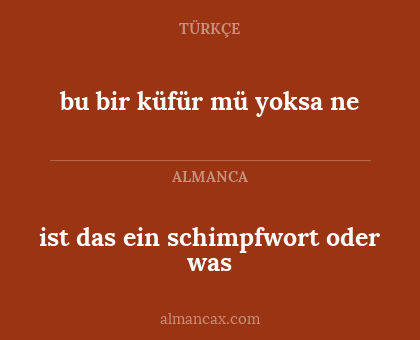 ist das ein schimpfwort oder was - bu bir küfür mü yoksa ne