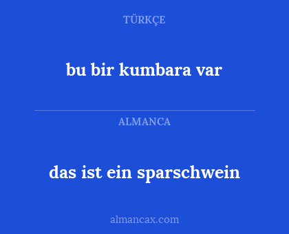 bu bir kumbara var - das ist ein sparschwein