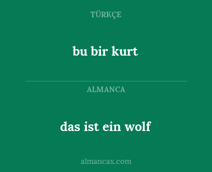 bu bir kurt - das ist ein wolf