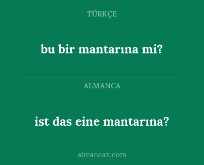 bu bir mantarına mi? - ist das eine mantarına?
