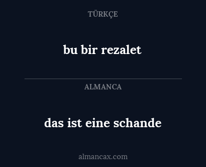 bu bir rezalet - das ist eine schande