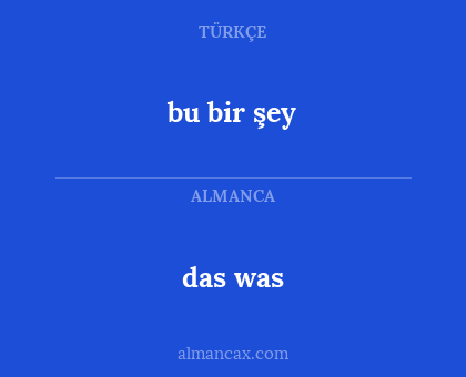 das was - bu bir şey
