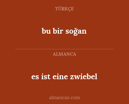 es ist eine zwiebel - bu bir soğan