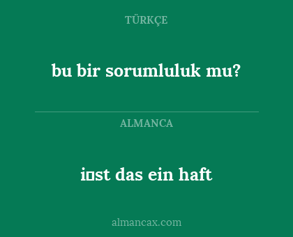 i̇st das ein haft - bu bir sorumluluk mu?