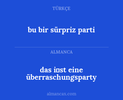 bu bir sürpriz parti - das i̇st eine überraschungsparty