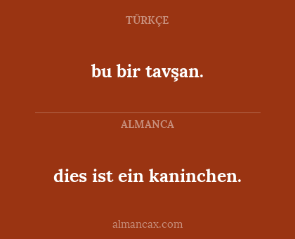 dies ist ein kaninchen. - bu bir tavşan.