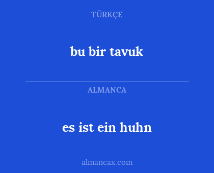 bu bir tavuk - es ist ein huhn