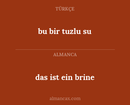 das ist ein brine - bu bir tuzlu su