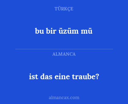 ist das eine traube? - bu bir üzüm mü