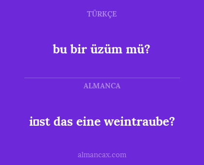 bu bir üzüm mü? - i̇st das eine weintraube?