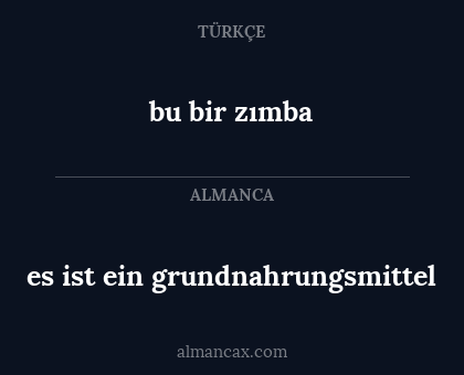 bu bir zımba - es ist ein grundnahrungsmittel