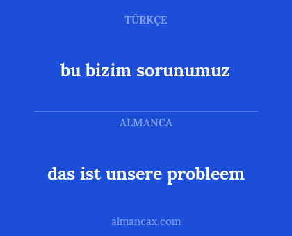 bu bizim sorunumuz - das ist unsere probleem