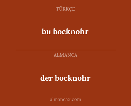 bu bocknohr - der bocknohr