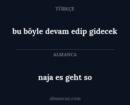 bu böyle devam edip gidecek - naja es geht so