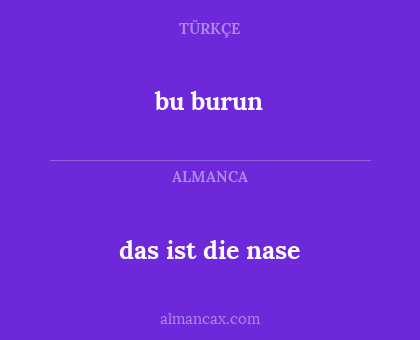 bu burun - das ist die nase