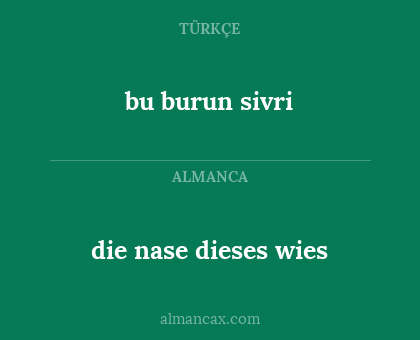 die nase dieses wies - bu burun sivri