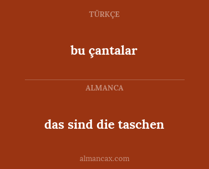 das sind die taschen - bu çantalar