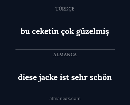 diese jacke ist sehr schön - bu ceketin çok güzelmiş