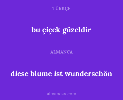 bu çiçek güzeldir - diese blume ist wunderschön