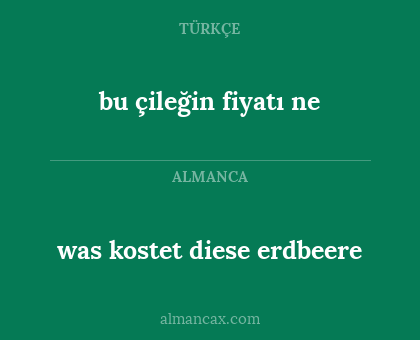 was kostet diese erdbeere - bu çileğin fiyatı ne