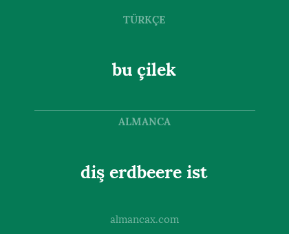 bu çilek - diş erdbeere ist