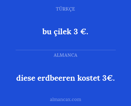 diese erdbeeren kostet 3€. - bu çilek 3 €.