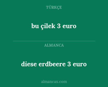 diese erdbeere 3 euro - bu çilek 3 euro