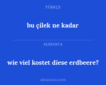 wie viel kostet diese erdbeere? - bu çilek ne kadar