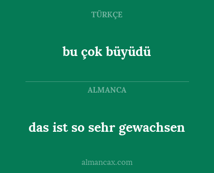 bu çok büyüdü - das ist so sehr gewachsen