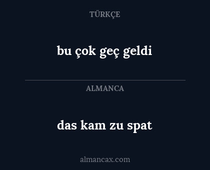 das kam zu spat - bu çok geç geldi