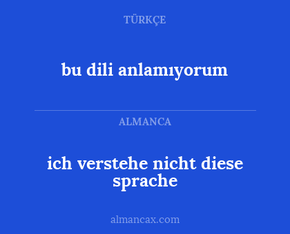 ich verstehe nicht diese sprache - bu dili anlamıyorum